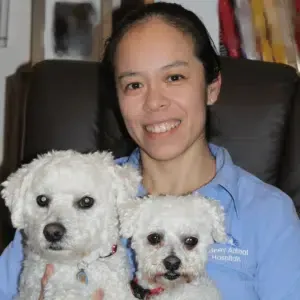 Woman with two white fluffy dogs; smiles.