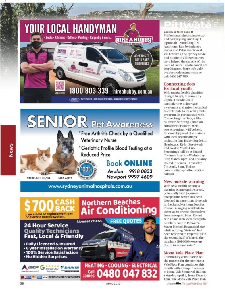 Helping our senior pets stay happy and healthy