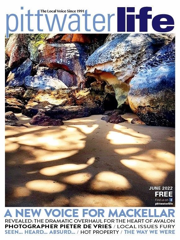 Cover of