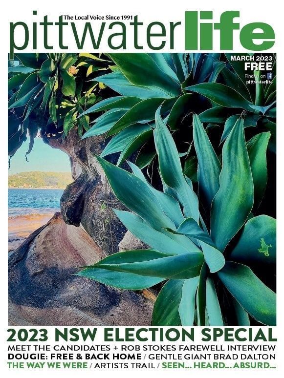 Cover of