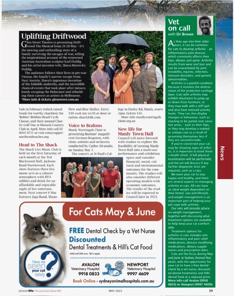 Arthritis in cats