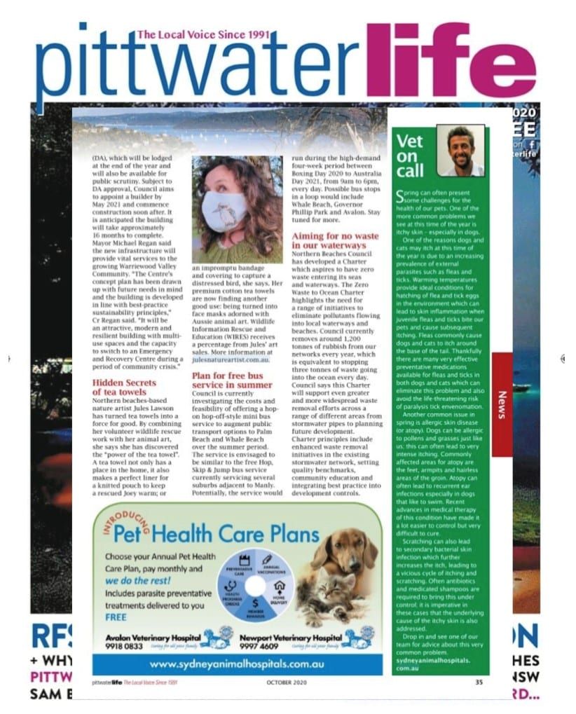 Does your pet have itchy skin?