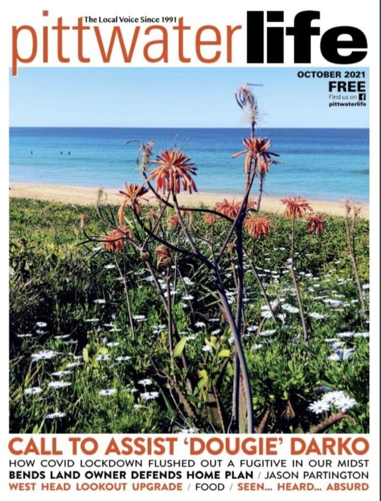 Cover of 