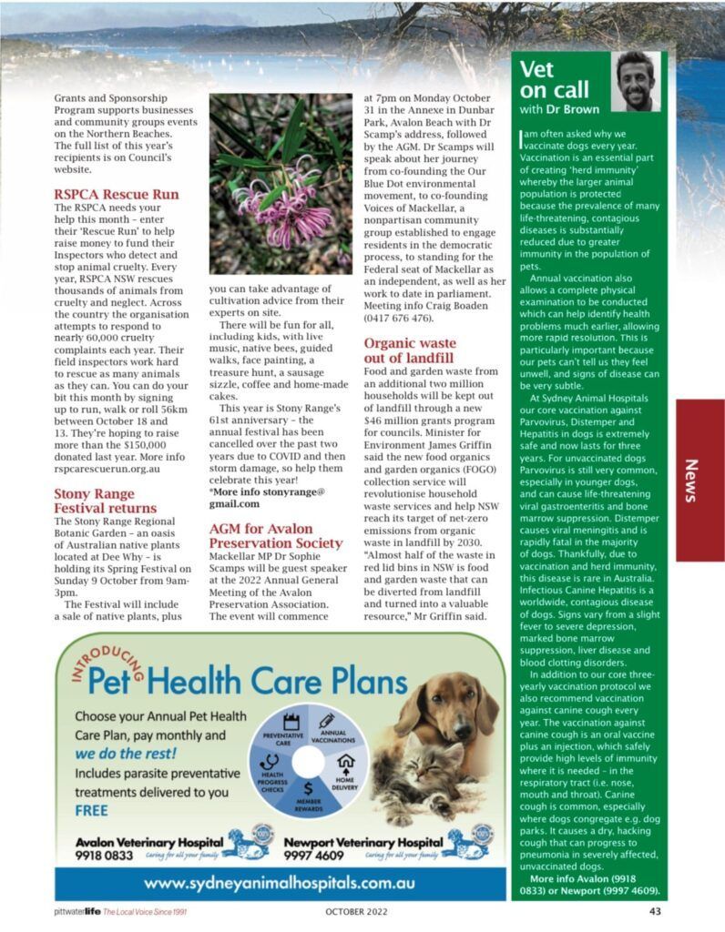 Why Vaccinate Dogs?