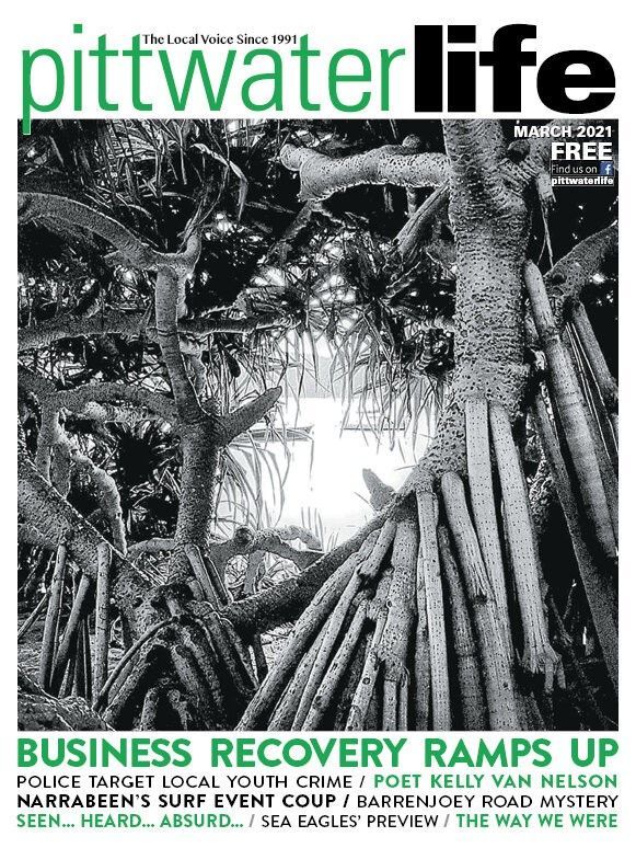 Cover of 