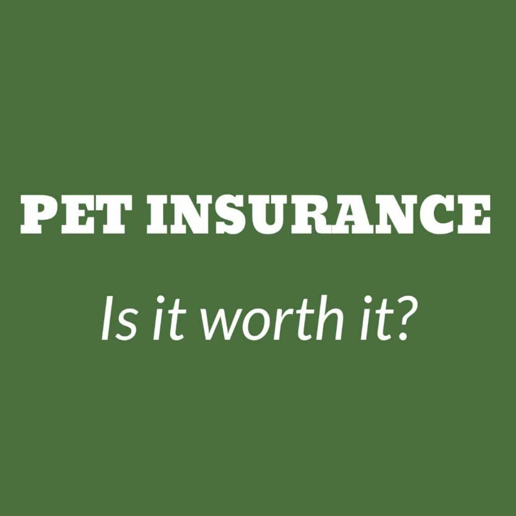 Pet Insurance &ndash; Is it worth it?
