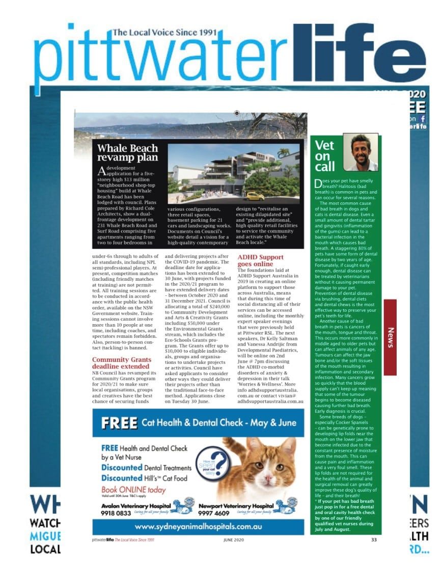 Cover of 