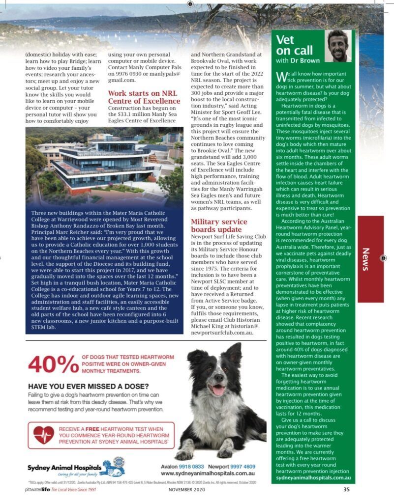Article layout with a building and dog advertisement.