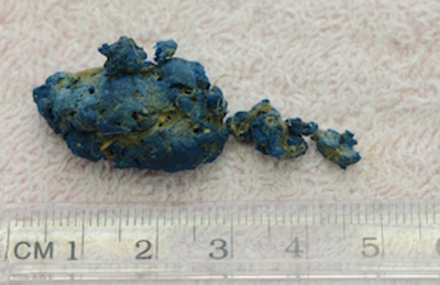 RUBBER.png Blue and yellow-toned porous material, approximately 4 cm long, on a white surface with a ruler.