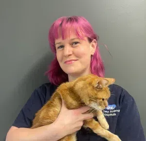 Sydney Animal Hospitals Staff