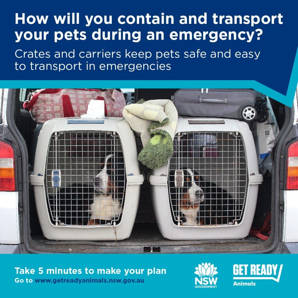 Planning For Your Animals in Emergencies