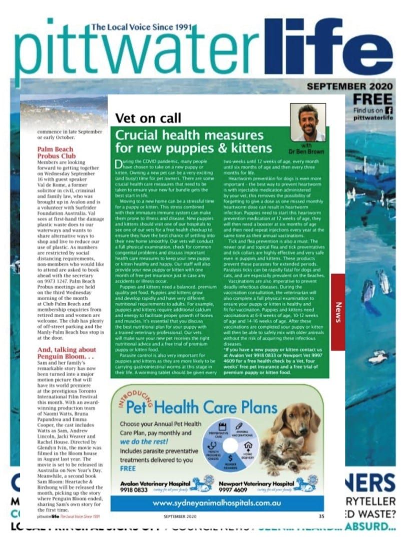 Cover of 