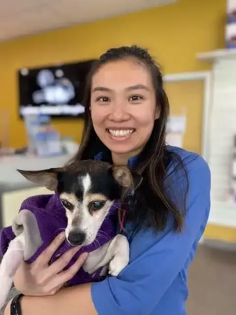 Woman in blue shirt holding a small dog in a purple sweater, smiling in a veterinary clinic.