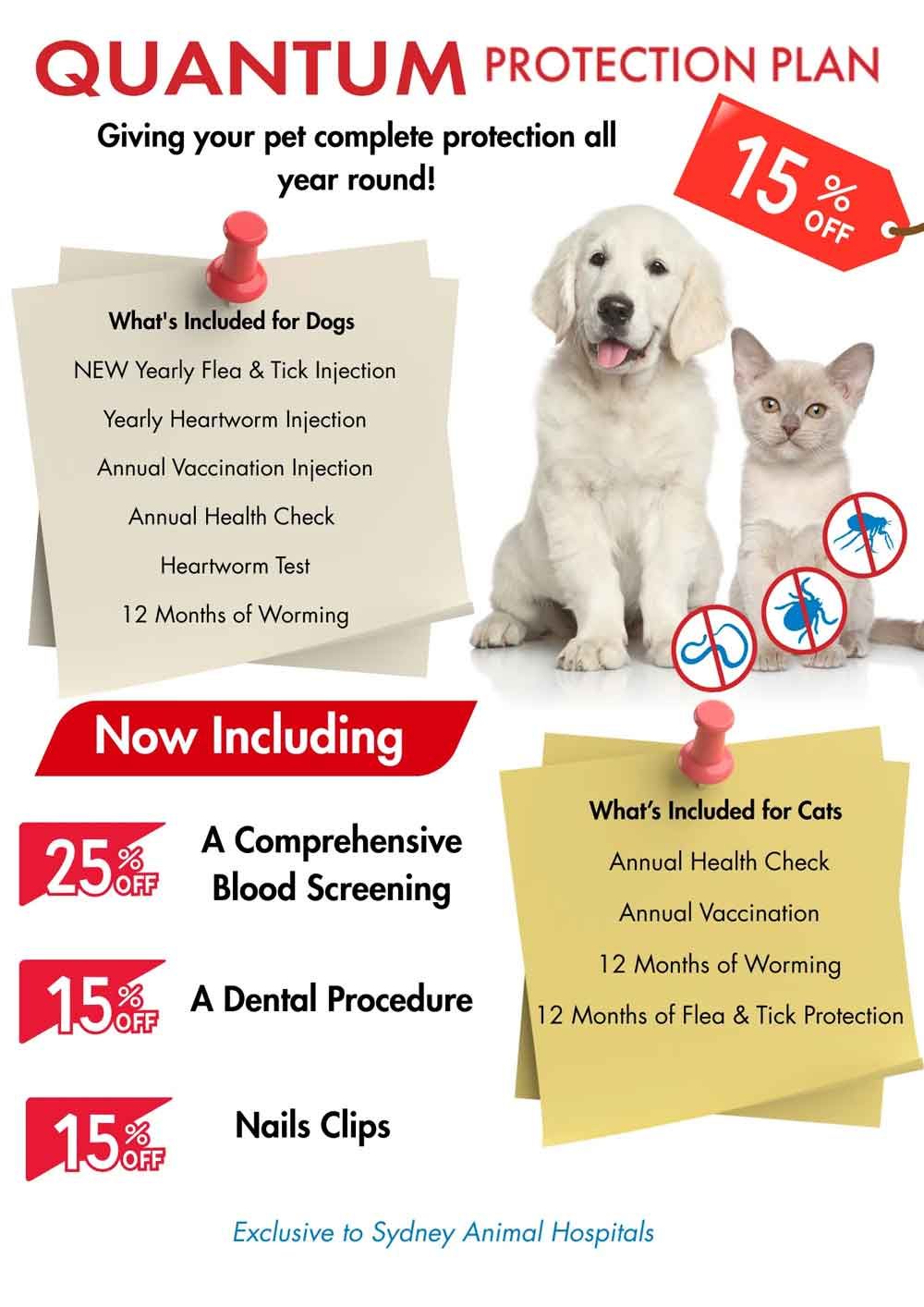 Advertisement for a pet protection plan. A dog and cat are featured. Includes offers like 15% off and a comprehensive blood screening.
