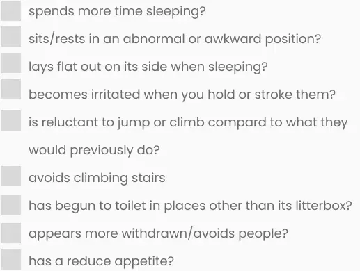 Checklist of potential health concerns for a cat.