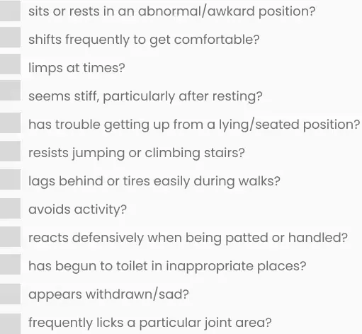 Checklist of canine health concerns, including stiffness, limping, and avoiding activity.