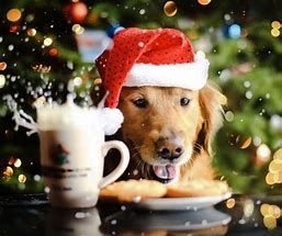 Tips For The Festive Season