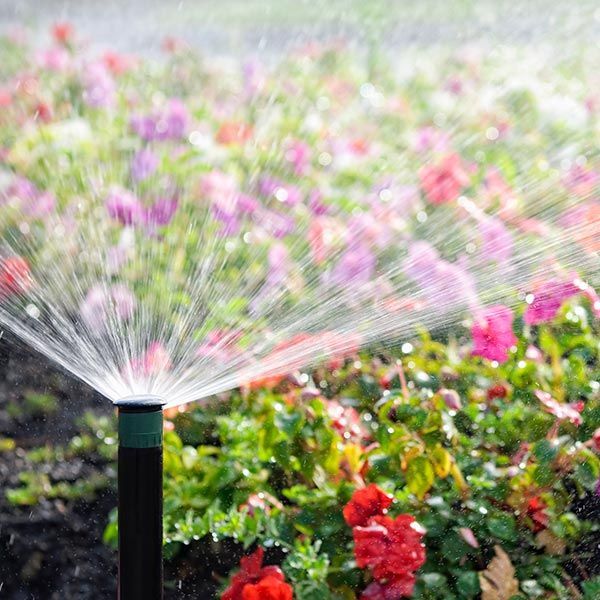 A sprinkler is spraying water in a garden with flowers in the background. A sprinkler is spraying water in a garden with flowers in the background.