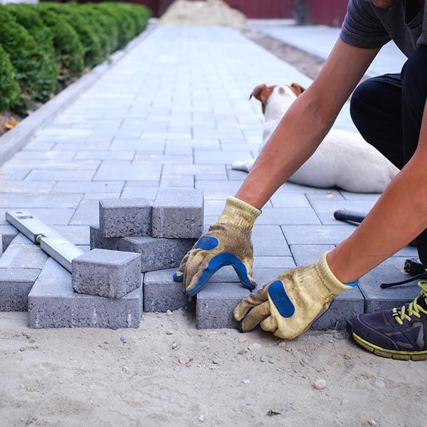A man is laying bricks on a sidewalk next to a dog. A man is laying bricks on a sidewalk next to a dog.