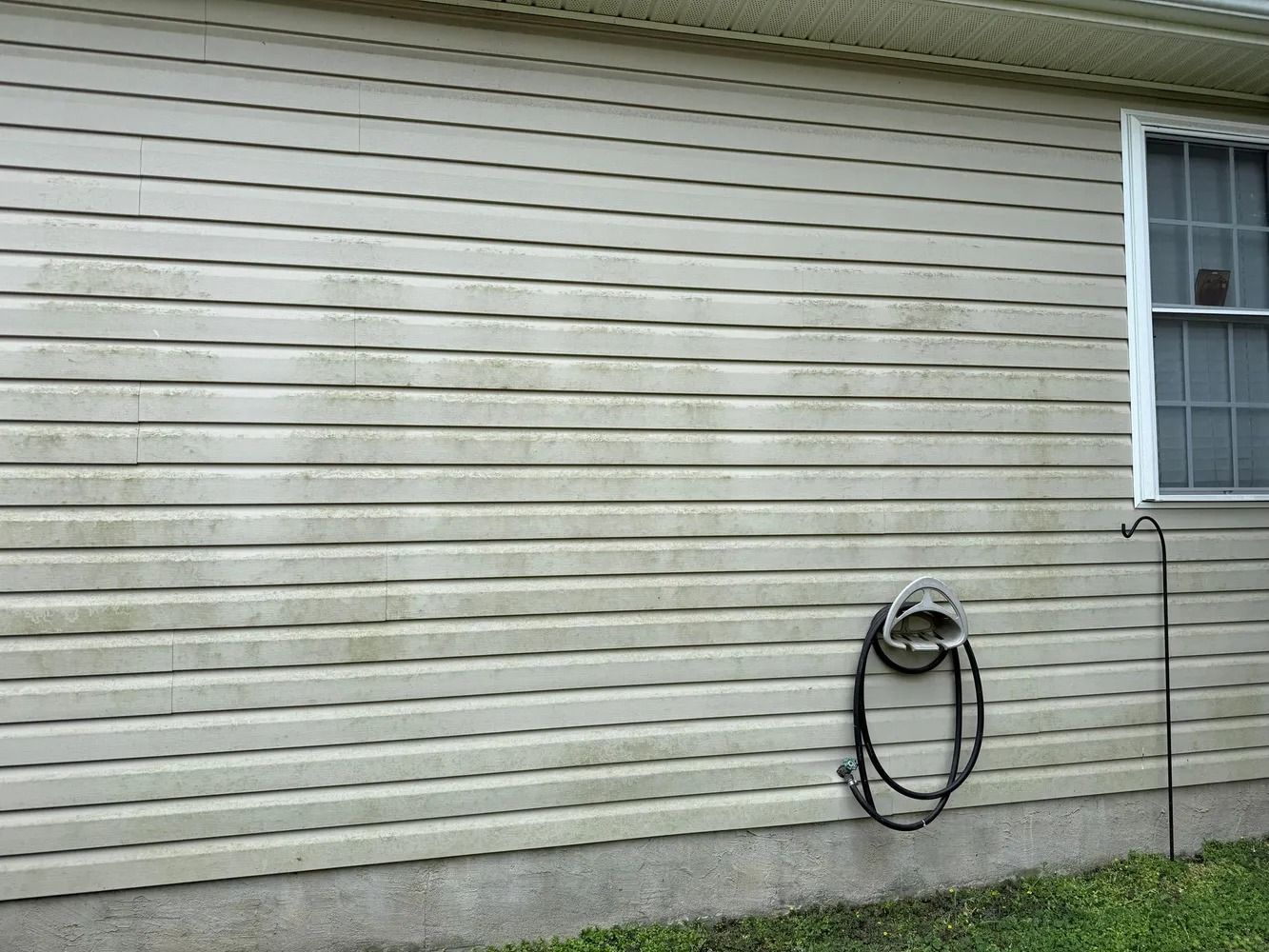 Tan vinyl siding on an exterior wall with a window, a coiled hose, and a metal stake in front of the foundation.