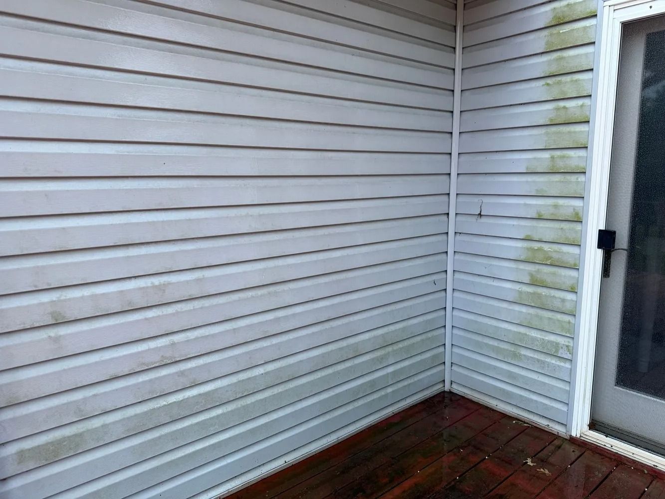Light grey vinyl siding on a house wall shows green mold or algae growth near the ground and by a white door frame.