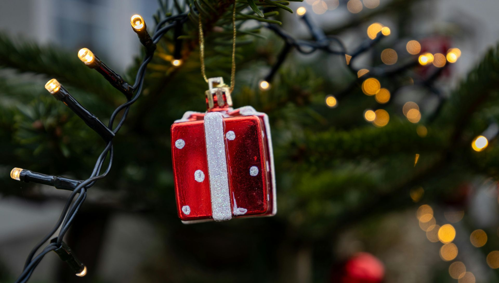 Red gift ornament with white ribbon on Christmas tree, lit by string lights.