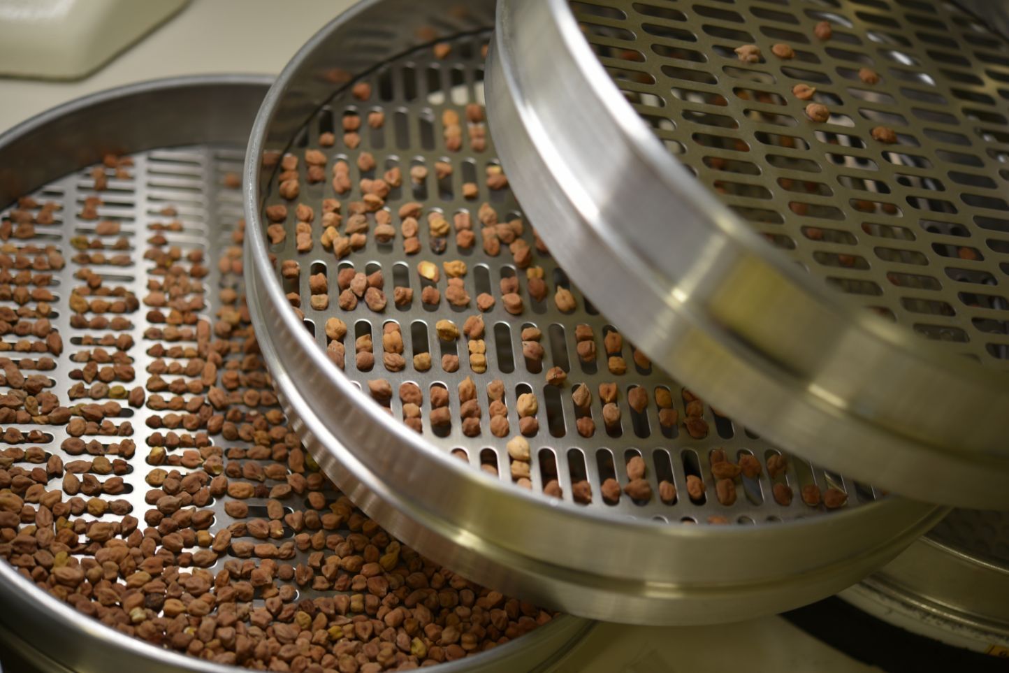 Filtering Grains — Pulse Grains in Australia