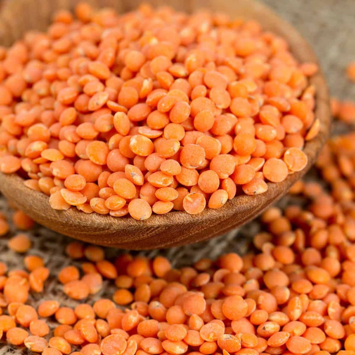 Plant Lying on Seeds — Pulse Grains in Australia