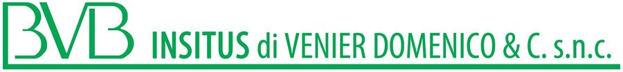 BVB Insitus logo