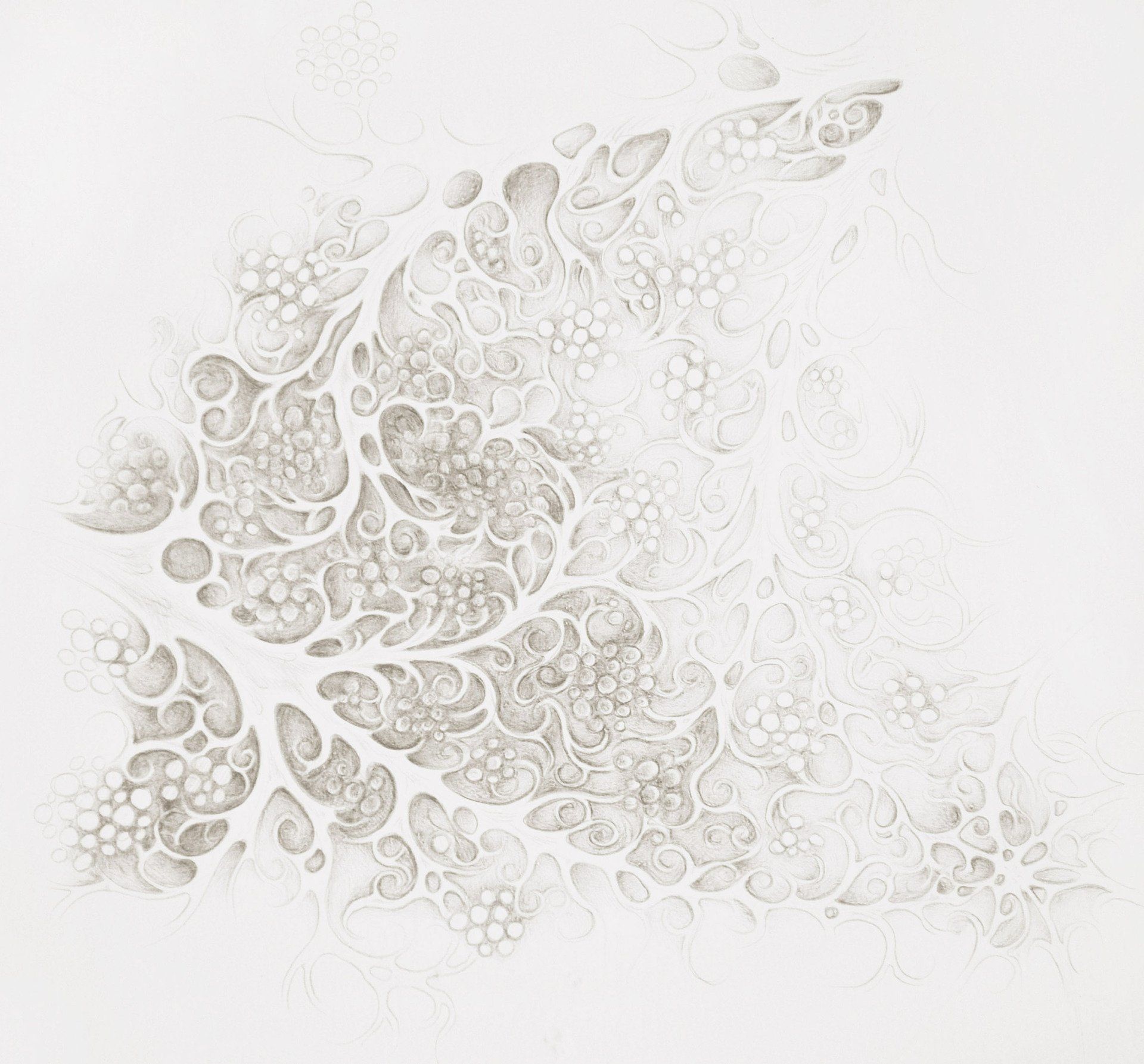 Silverpoint drawing of fractal tendrils