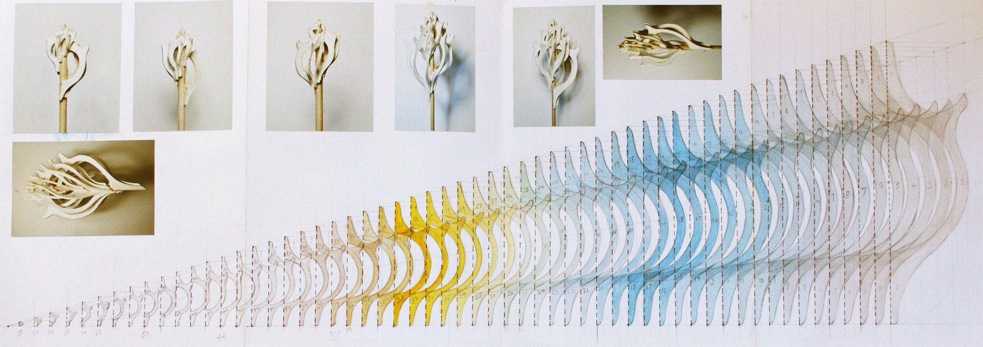 Shell sculpture