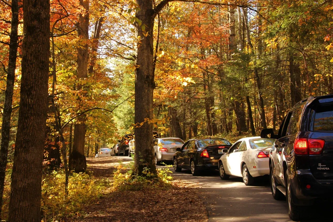 National Park Service Fall Photo https://www.nps.gov/grsm/planyourvisit/fallcolor.htm