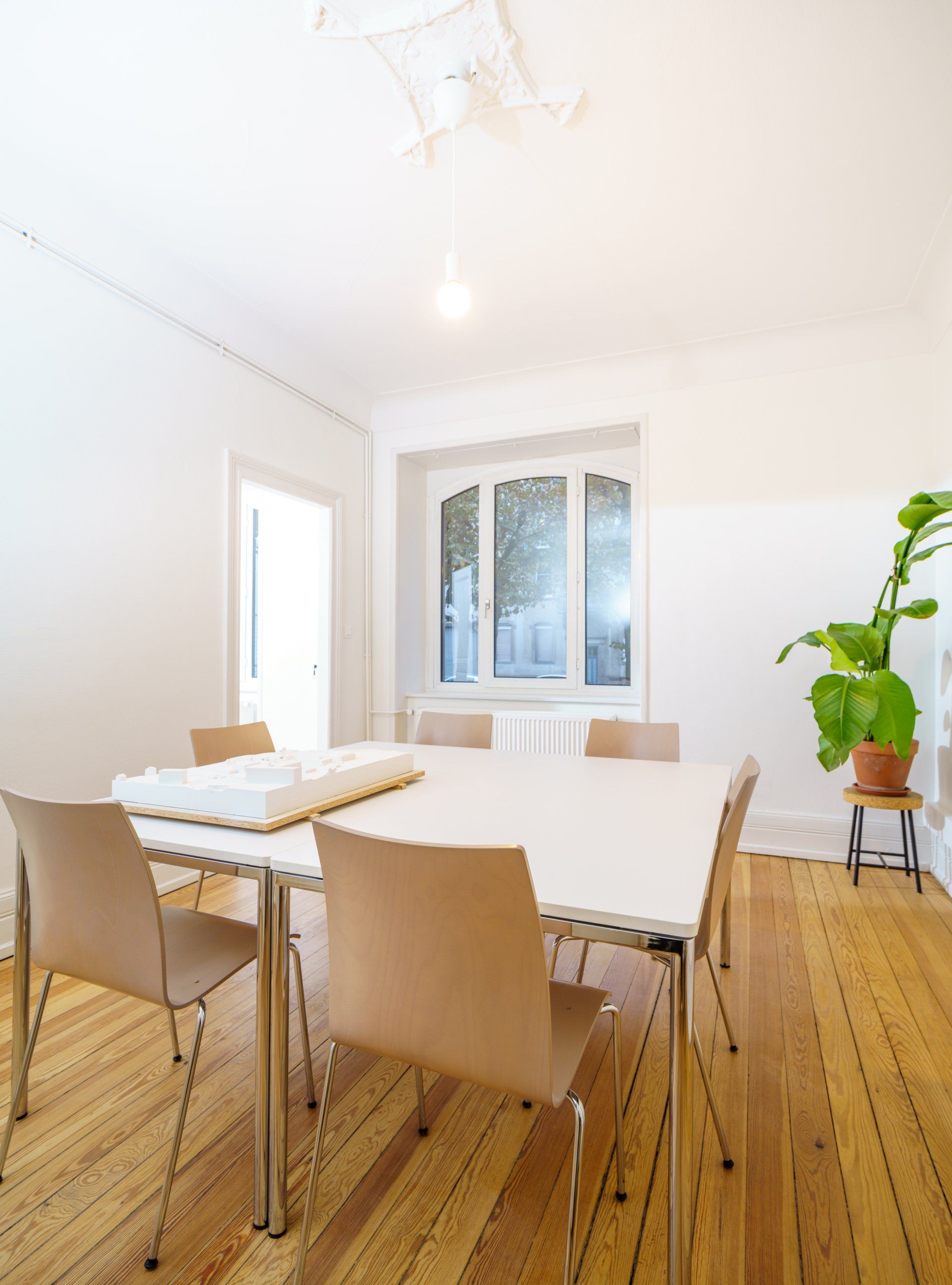 Fanny Bulliot, Albert Rolland et Renaud Schwartz : architectes à Strasbourg
