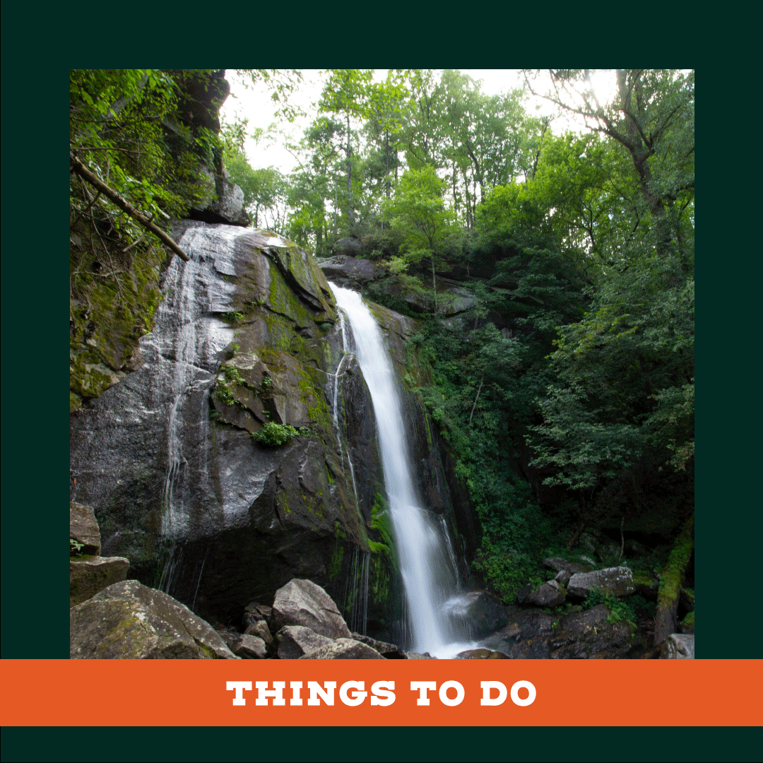 A waterfall is surrounded by trees and rocks in the middle of a forest.