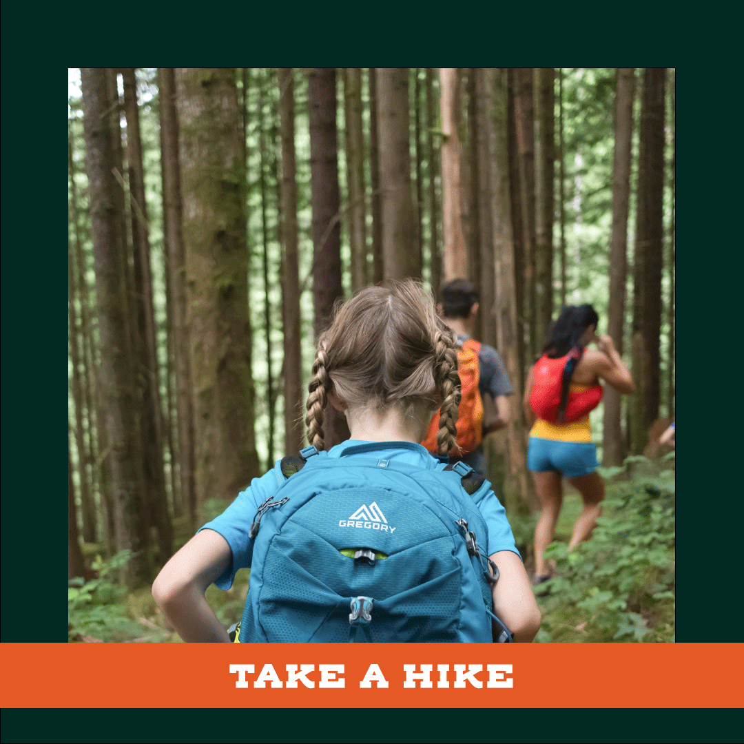 A girl with a blue backpack is walking through a forest.