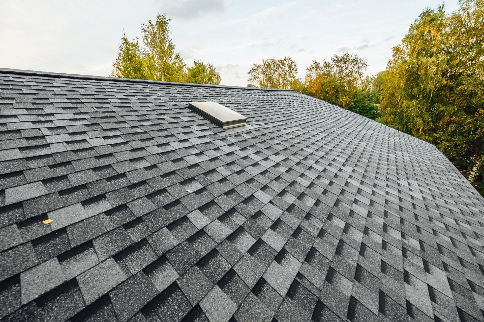 Gray asphalt shingle roof with a small skylight, trees in the background.