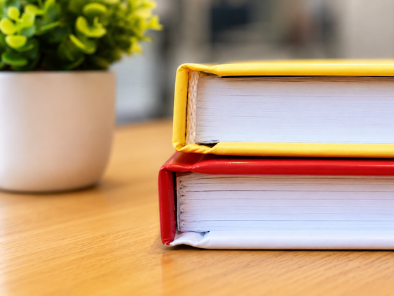 Twee opgestapelde boeken naast een klein potplantje op een houten tafel.