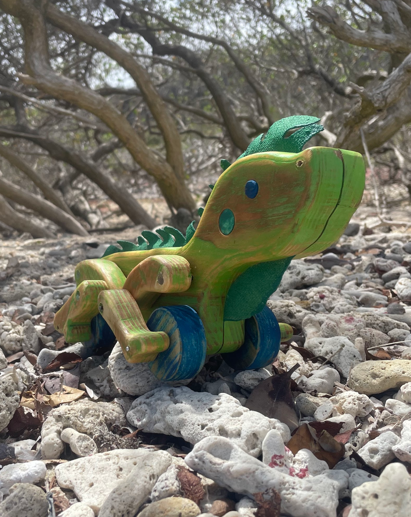 SOLDACHI Ito iguana toy at beach