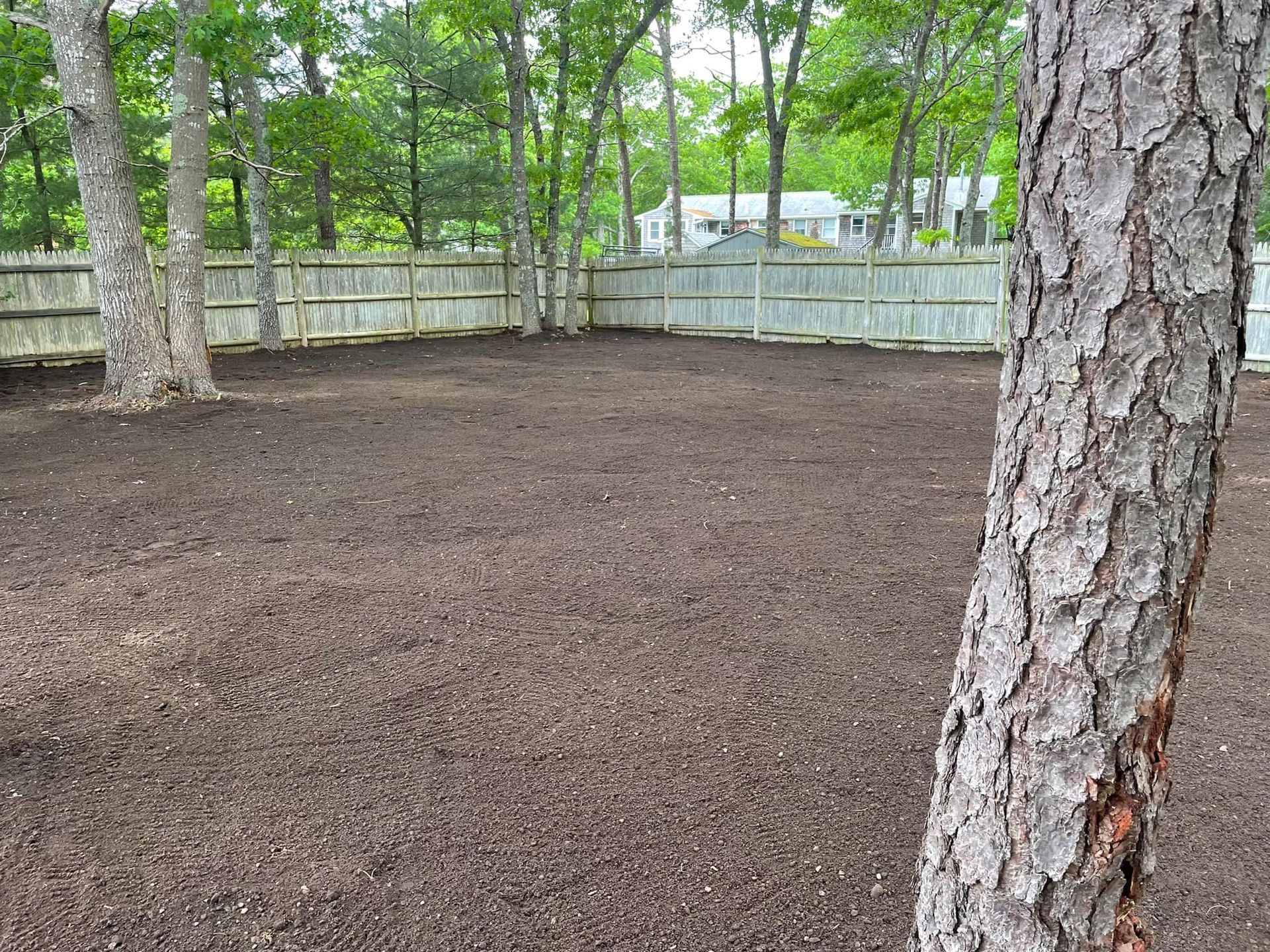 A vacant backyard covered in dark soil, framed by trees and a wooden fence, with a house visible in the distance.