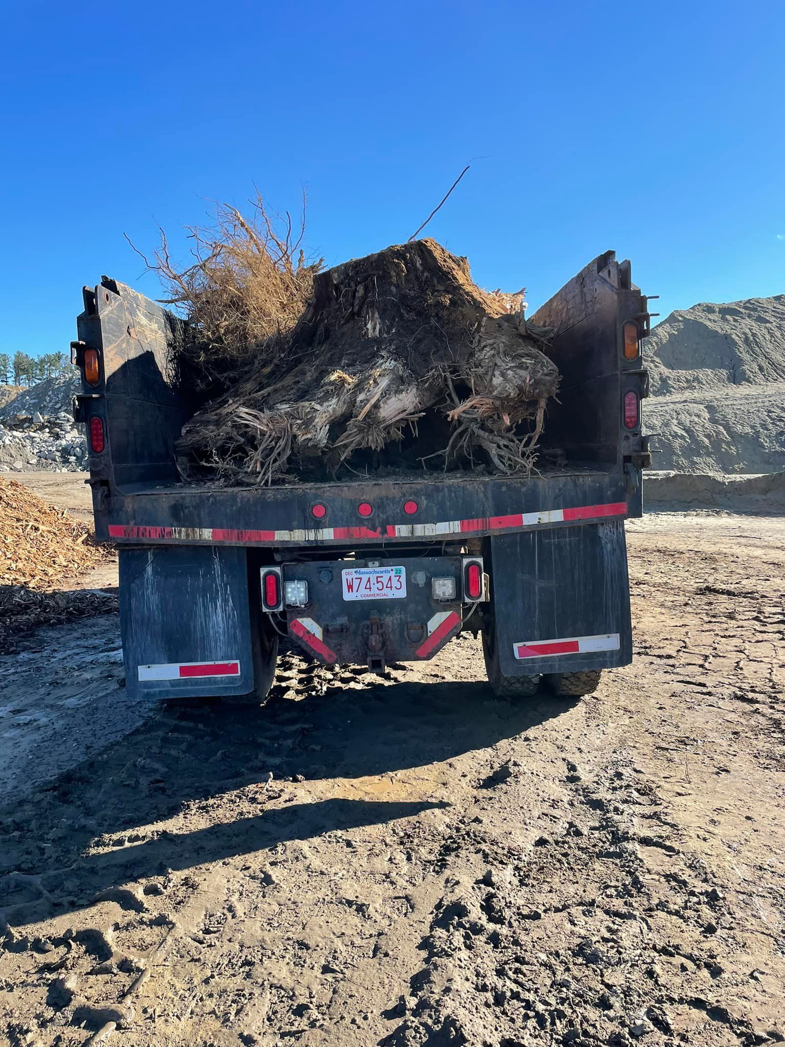 Truck bed filled with yard waste, against a blue sky, brown dirt ground.