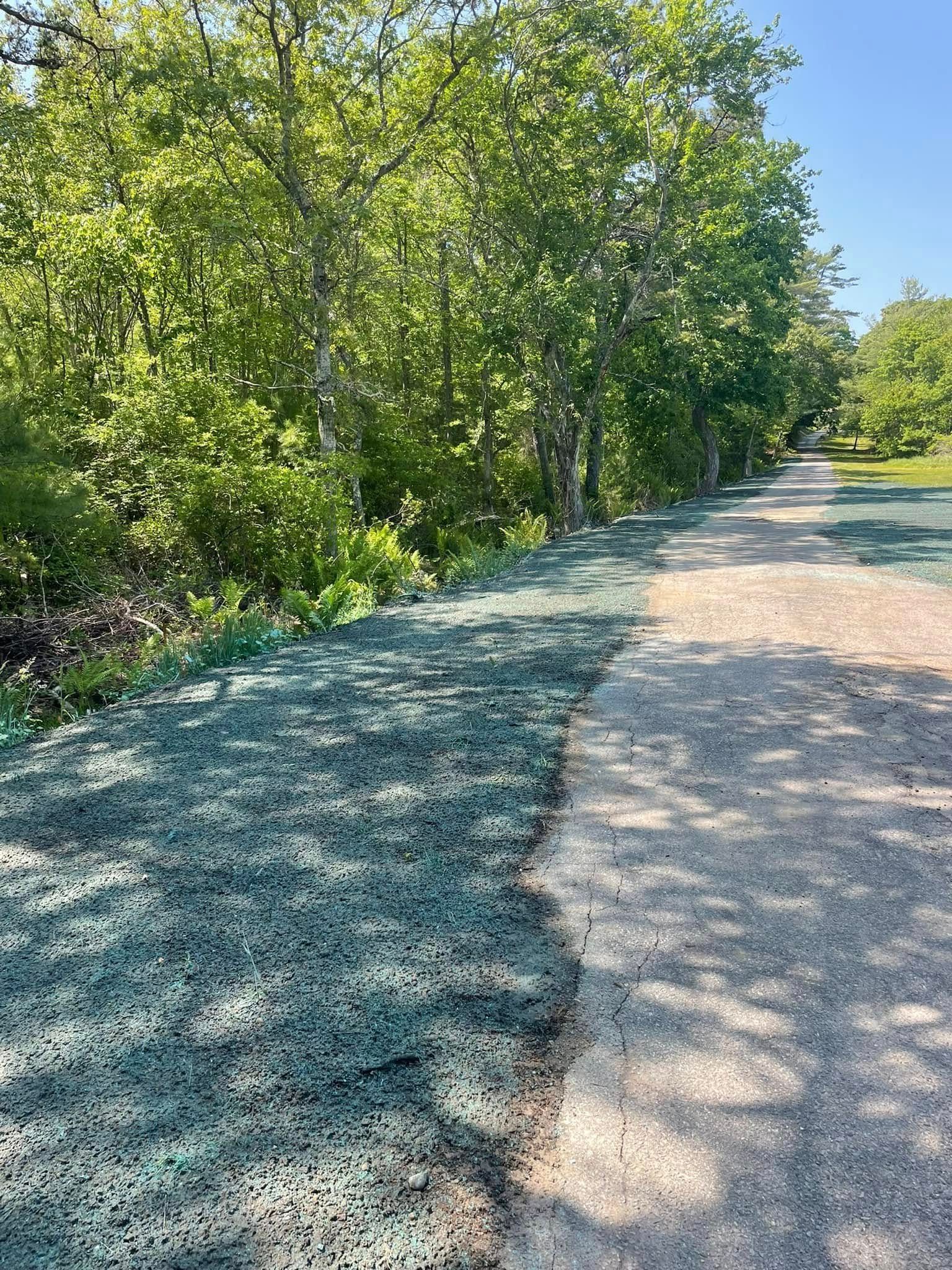 A gravel path next to a green-covered area, leading into the trees.