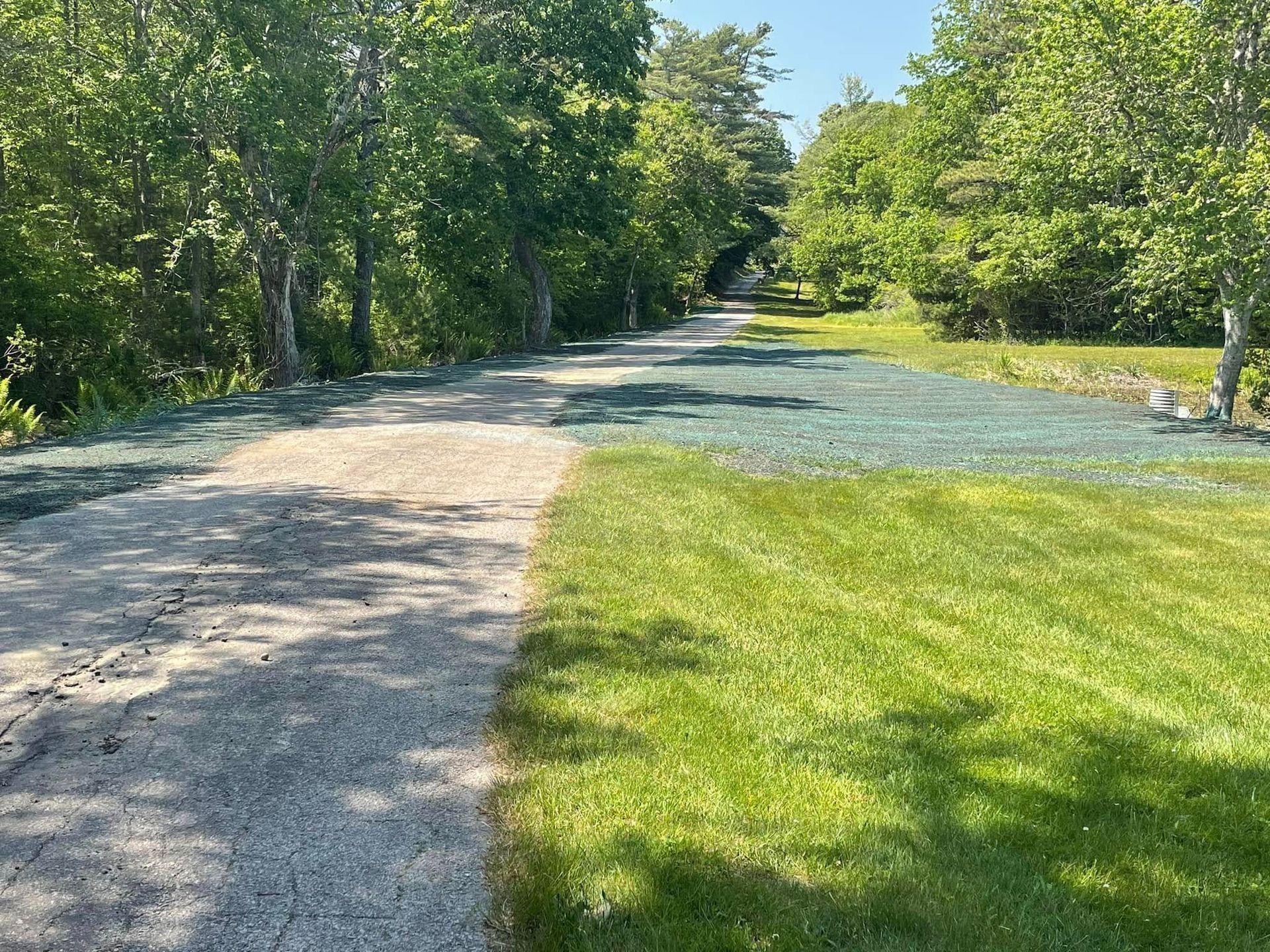 Pathway through a green space, with a gravel path on the left and new grass growing on the right.