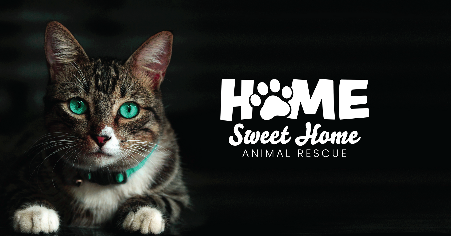 Home Sweet Home - South Shore Creative Media - Web design - graphic design - social media - long island - animal rescue
