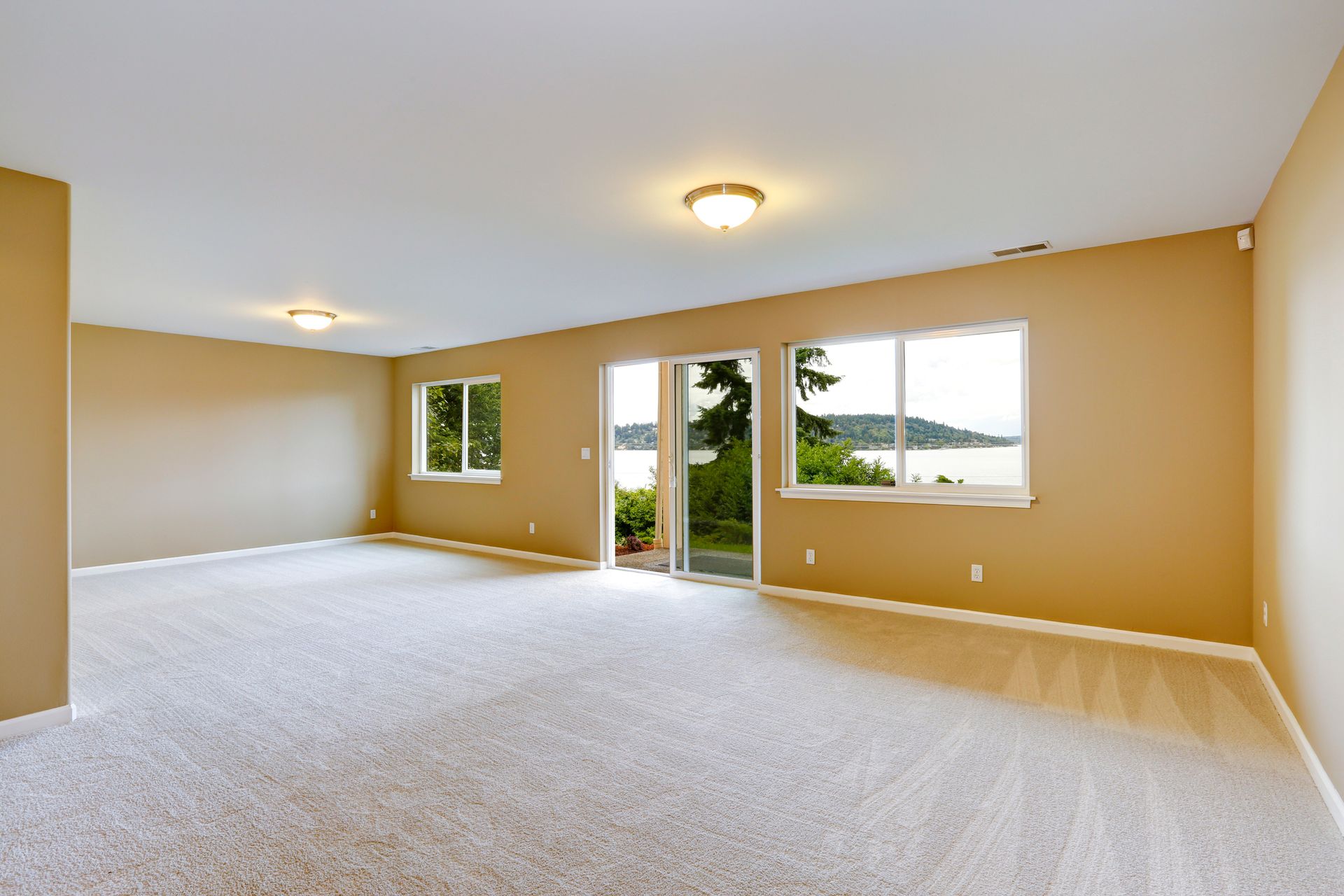 Carpet Cleaning in Denver, CO