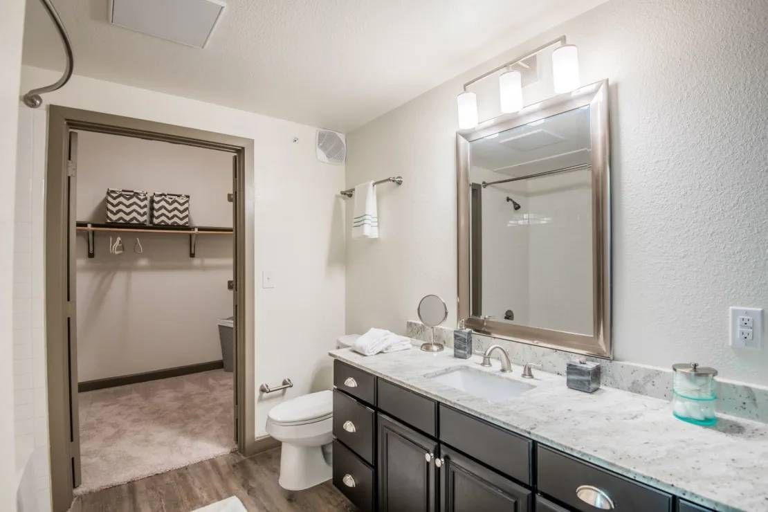Bathroom vanity with dark cabinets, granite countertop, large mirror, and an open doorway to a closet.