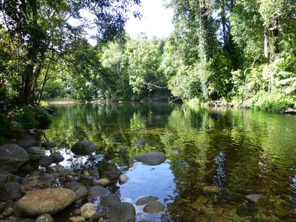 A River Surrounded By Trees And Rocks In A Lush Green Forest — Troy Cummings Locksmith In Innisfail, QLD