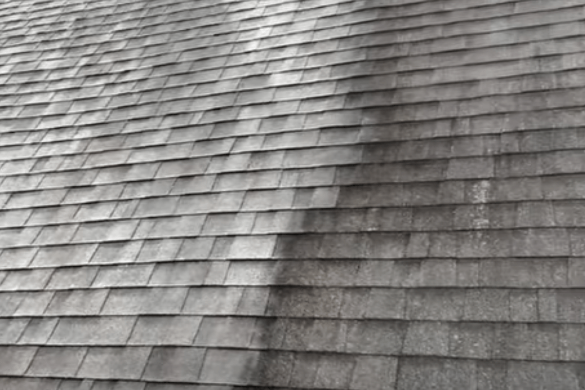roof cleaners