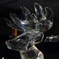 Clear glass deer sculpture with antlers, displayed indoors against a dark background