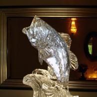 Clear glass fish sculpture on a stand, lit against a dark interior background.