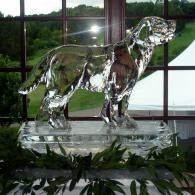 Glass dog ice sculpture on a table by a window, reflecting light against a green outdoor view